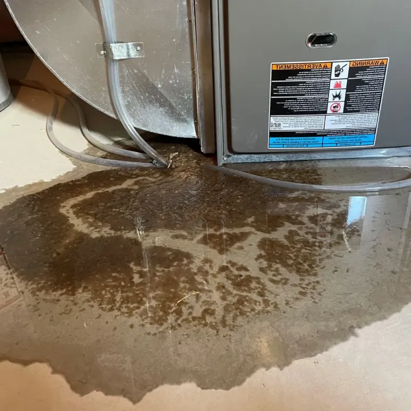 Pipe Burst and Leak Restoration in Friendship Village, MD